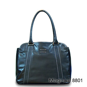 Magi-cal 8801