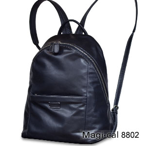 Magi-cal 8802