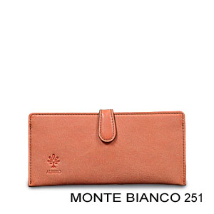 Monte Bianco 251