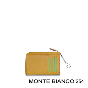 Monte Bianco 254
