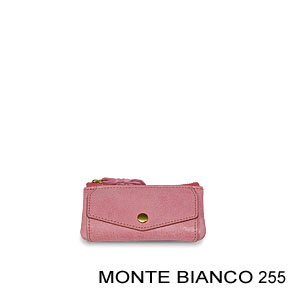 Monte Bianco 255